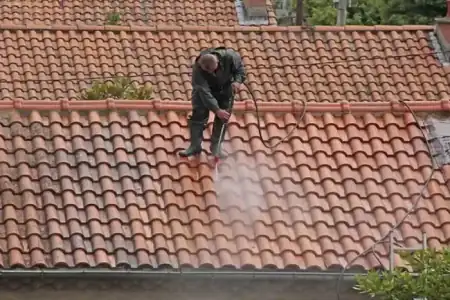 Nettoyage et démoussage de toiture à Lagorce à Lagorce